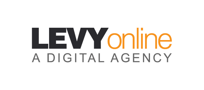 Levy Online A Digital Agency logo